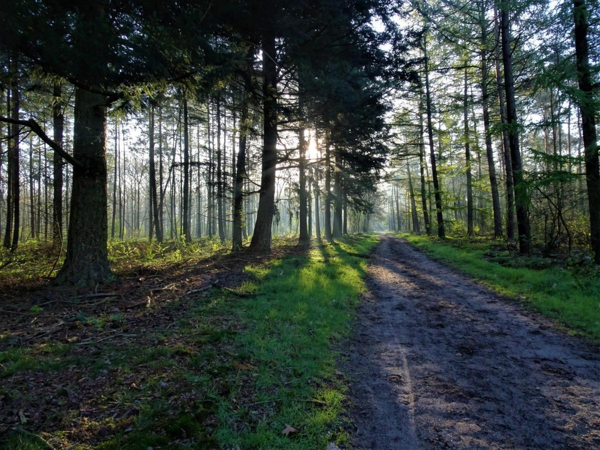 Veluwe Park Reewold Chalet Infinity 皮滕 外观 照片