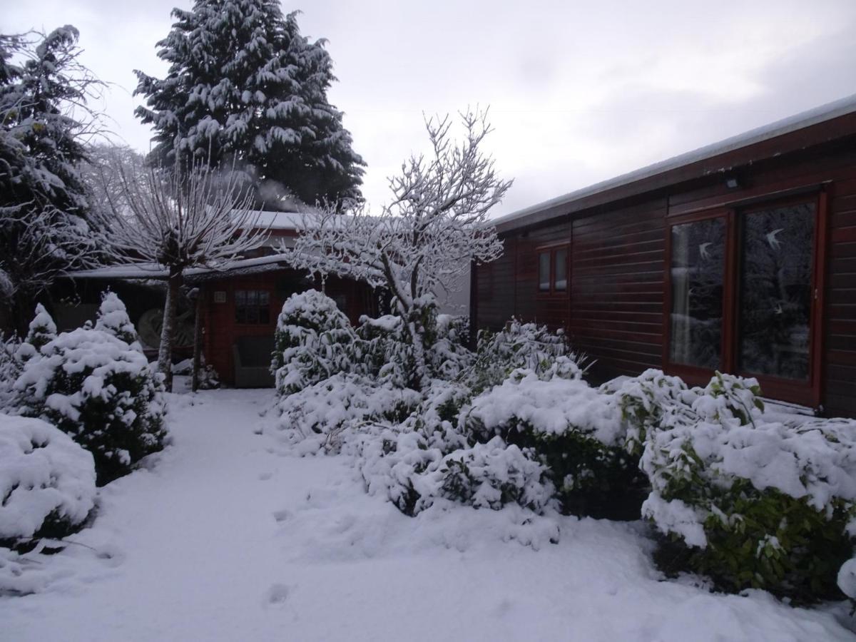 Veluwe Park Reewold Chalet Infinity 皮滕 外观 照片