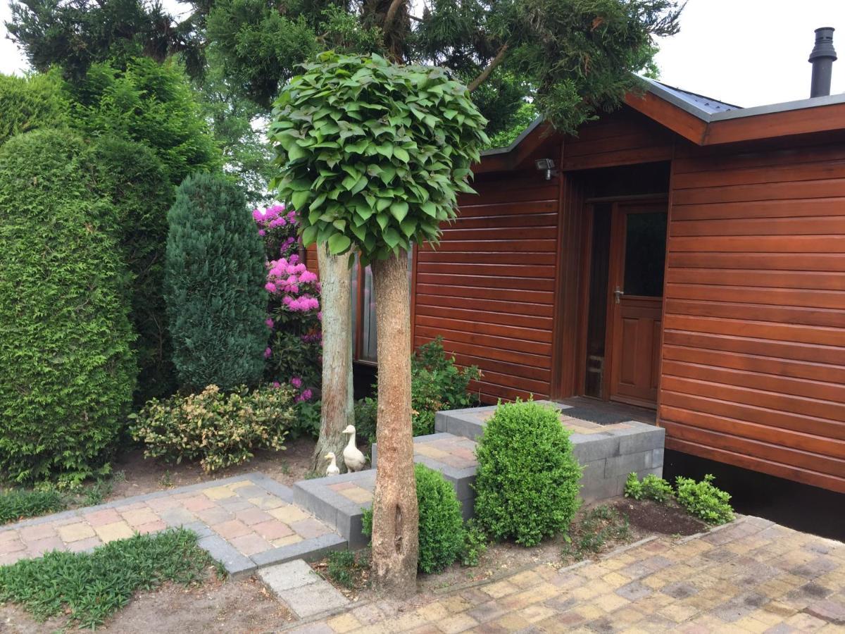 Veluwe Park Reewold Chalet Infinity 皮滕 外观 照片